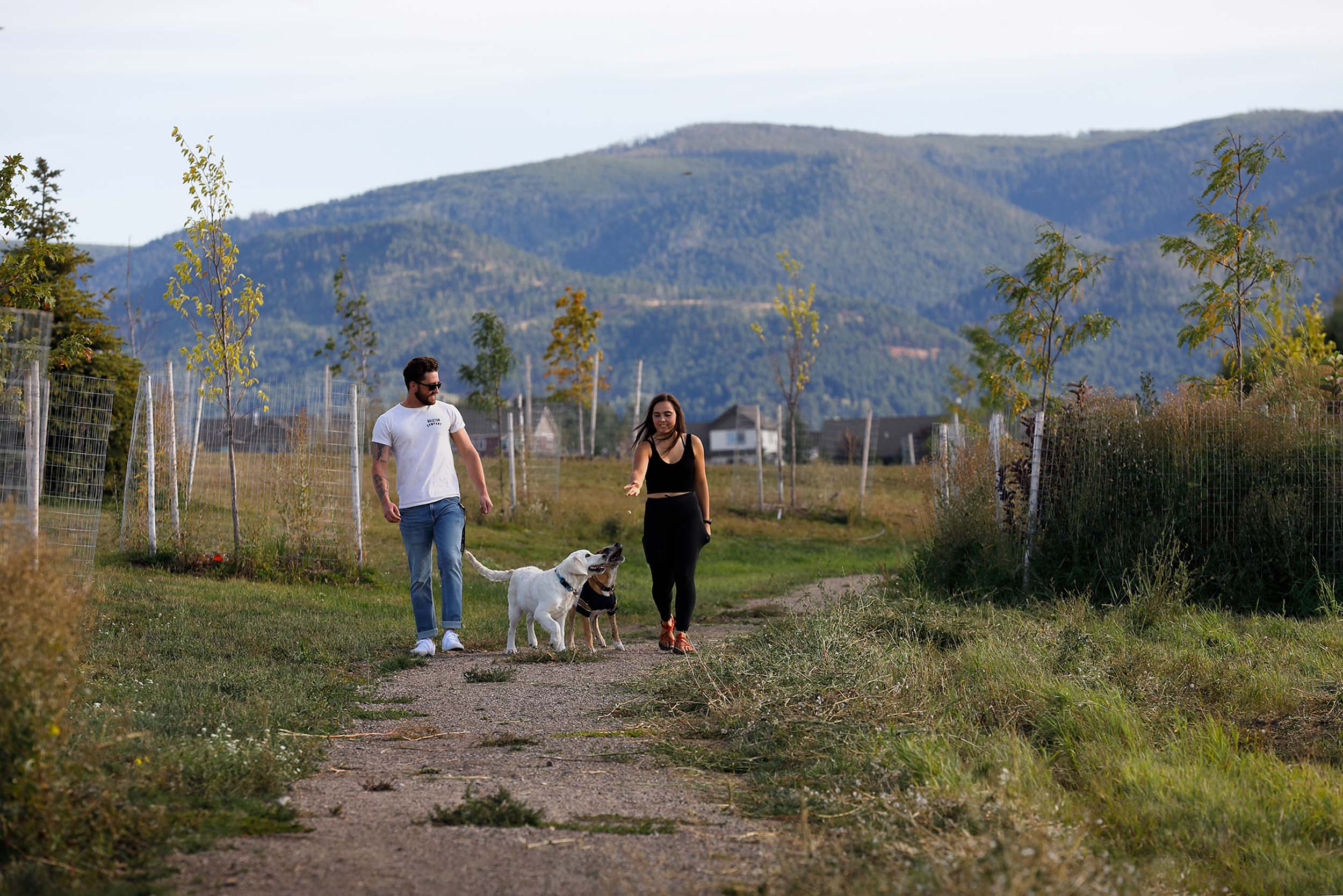 Couple walking two dogs outside with mountains in background