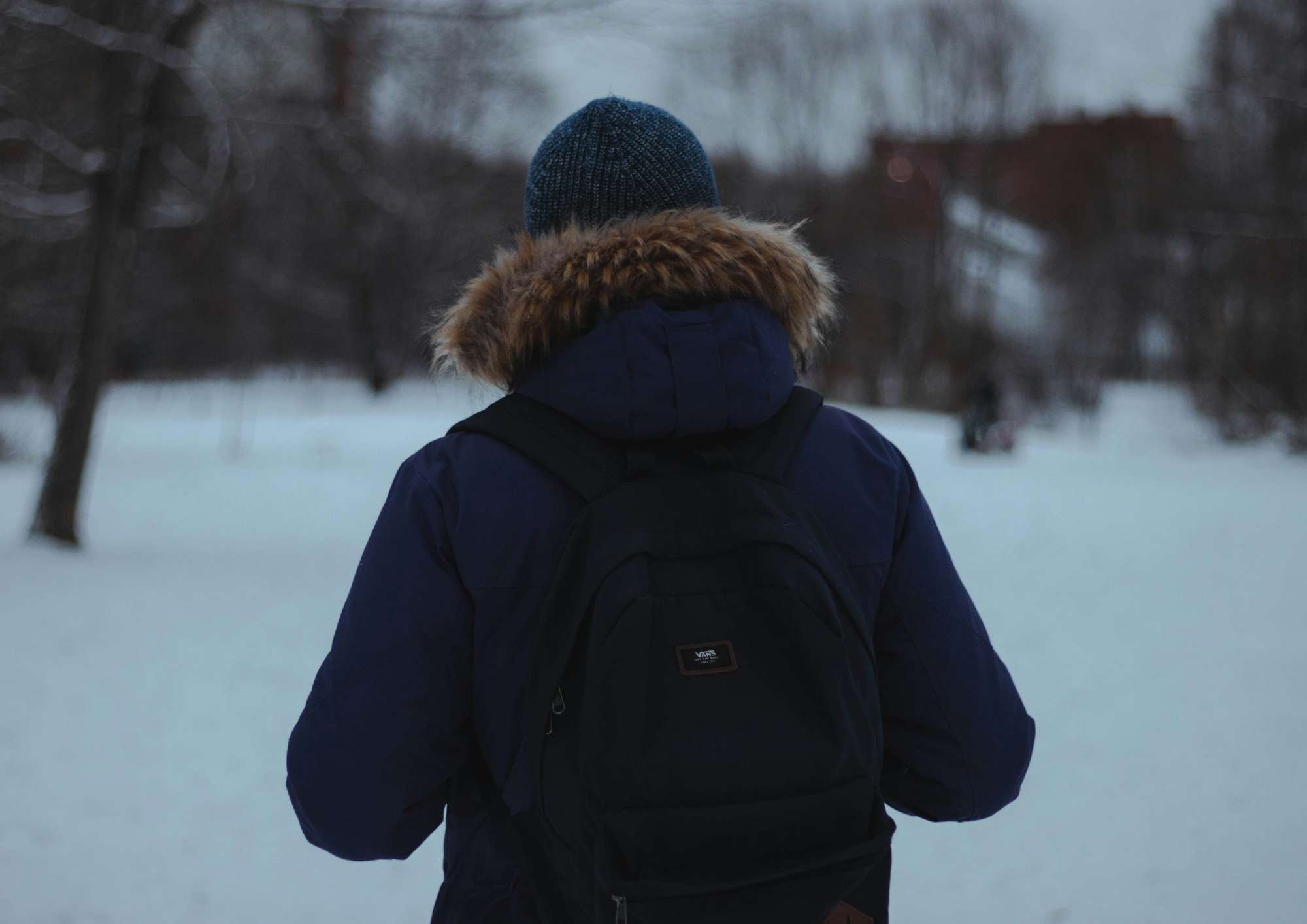 bozeman winter-msu student survival